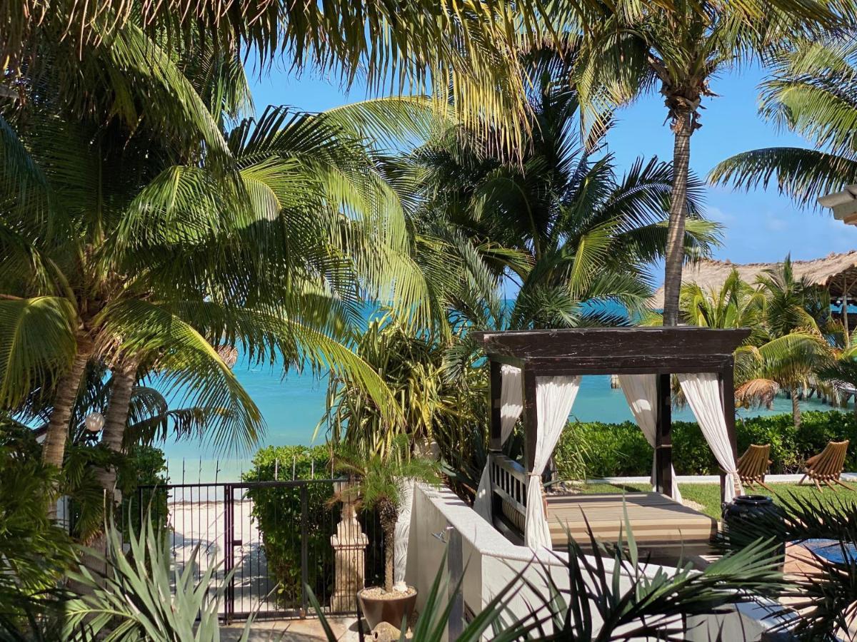 Villa Albatros Oceanfront Luxury Hotelzone Cancun Exterior photo