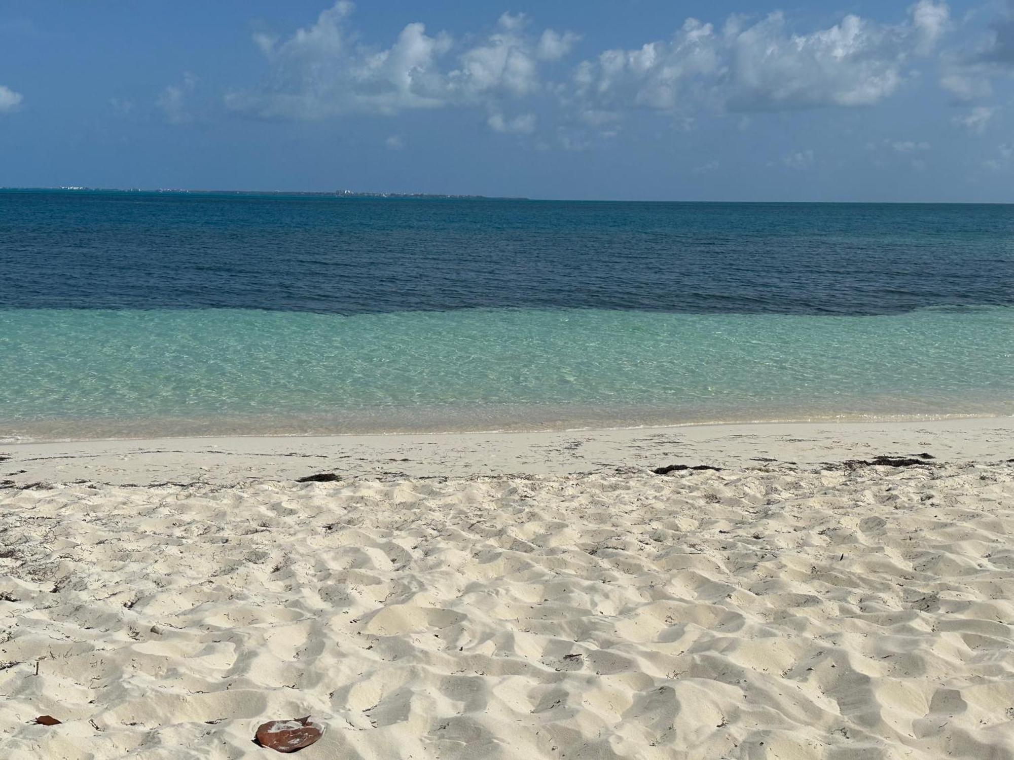 Villa Albatros Oceanfront Luxury Hotelzone Cancun Exterior photo